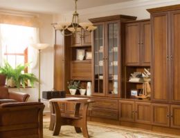 meblościanka Wiki C - BRW